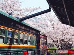 -新天地活力PARK