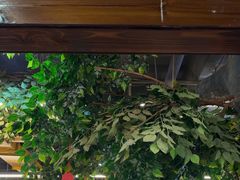 -成老灶火锅鸡(平山店)