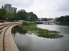 -新江湾城公园