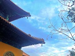 -天下玉苑