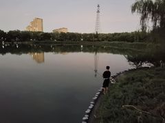 -大兴滨河森林公园