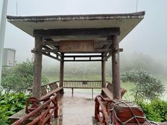 -广州白江湖森林公园