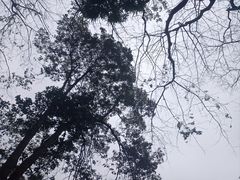 -望江楼公园
