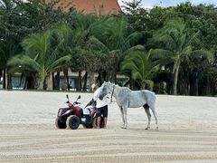 -三亚海棠湾万丽度假酒店
