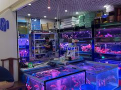 -三旗百汇商品城