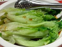 罗马生菜-西贝(枫蓝国际购物中心店)