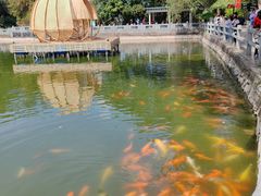 -广州市白云山风景名胜区