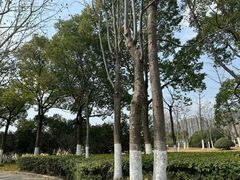 -天鹅湖体育公园