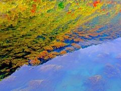 -叠溪松坪沟景区