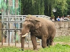 -西安秦岭野生动物园
