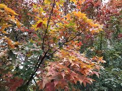 -香山公园-东宫门售票处