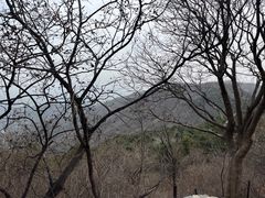 -香山公园