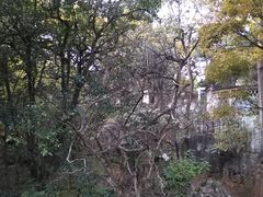 -昆明动物园