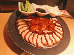 -守柴炉烤鸭(科华中路王府井店)