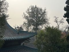 -晋祠公园