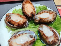 鲜活小鲍鱼-金龙·打边炉(武进路店)