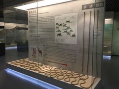 -北京麋鹿生态实验中心