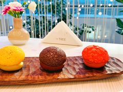 MiNi彩虹菠萝油-大树餐厅(红旗街万达店)