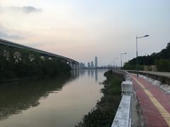 -大湾区中央湿地公园
