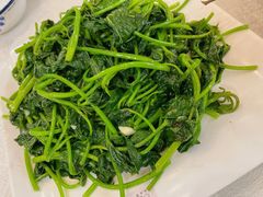 -津津菜馆(绝没分店)