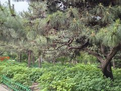 -太阳宫公园