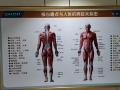 -通透堂中医·精准推拿(旗舰店)