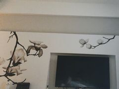 -白玉兰苏州观前街平江路酒店