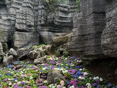 -梭布垭石林景区