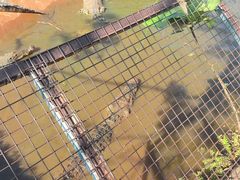 -海南热带野生动植物园