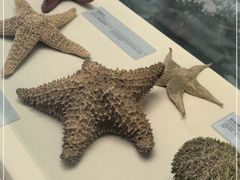 -上海中国航海博物馆