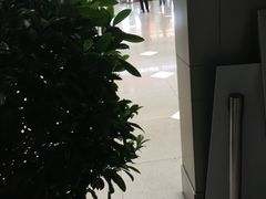 -首都医科大学附属北京同仁医院(南区)