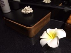 -THANN EXPRESS SPA