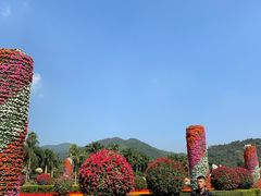 -东南花都花博园