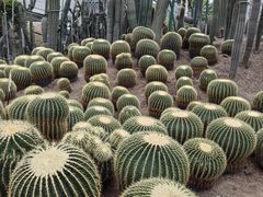 -南山植物园