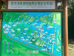 -泗洪洪泽湖湿地景区