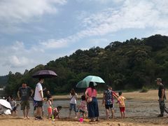 -传说中那条蛋散