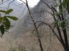 -千岛湖石林