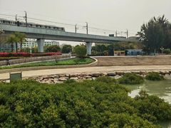 -宝安西湾红树林湿地公园