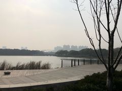 -昆山城市生态森林公园