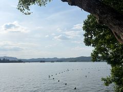 -杭州西湖柳莺里酒店