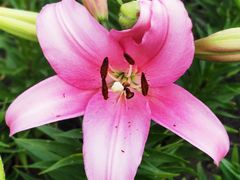 -长春公园(普阳街道)