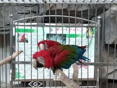 -鄂尔多斯野生动物园