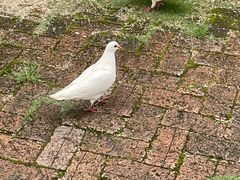 -瓷天下海丝谷
