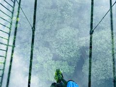 -香炉山国家森林公园