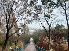 -上海吴淞炮台湾国家湿地公园