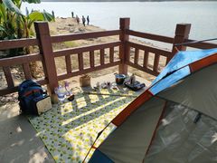 -鹤之洲湿地公园