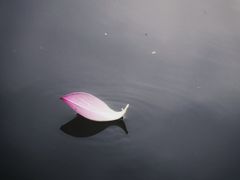 -郑和公园