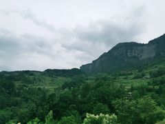 -重庆睡佛山森林公园