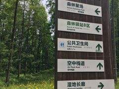 -黄海国家森林公园