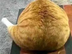 -香猪坊(五道口店)